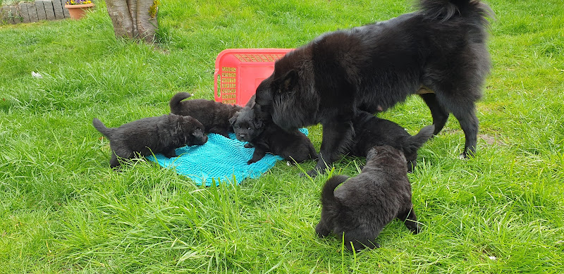 Schwarze Großspitze von Salz-Talheim