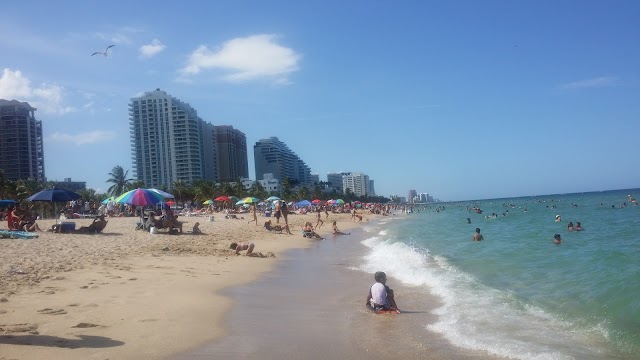 Fort Lauderdale Beach View Point