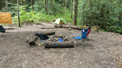 Backcountry Campsite #93 Gallery - United States