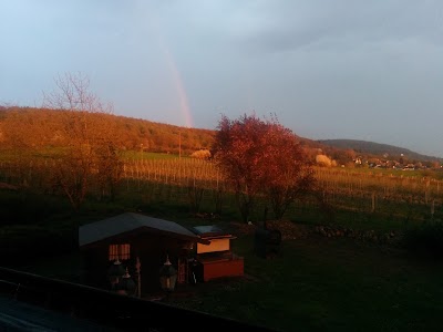 Photos of Parkhotel Krone