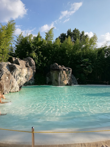 River pool and disco - Visual