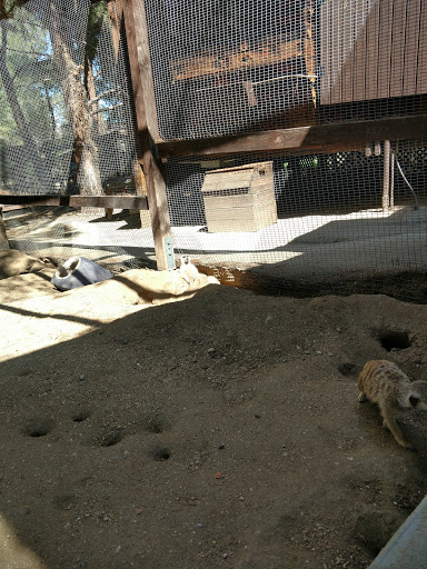 Fellow Earthlings' Wildlife Center, Inc. - Thumbnail