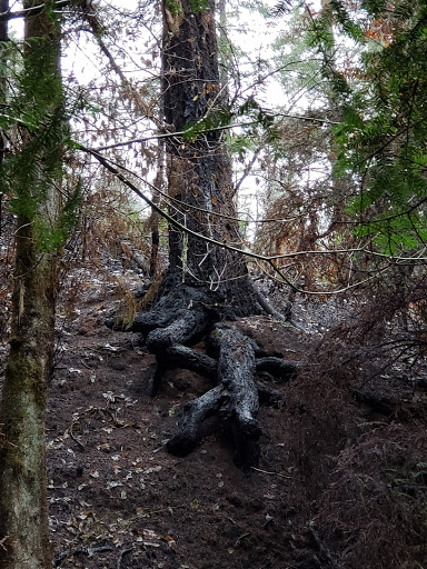 Secret Creek Campground - Thumbnail