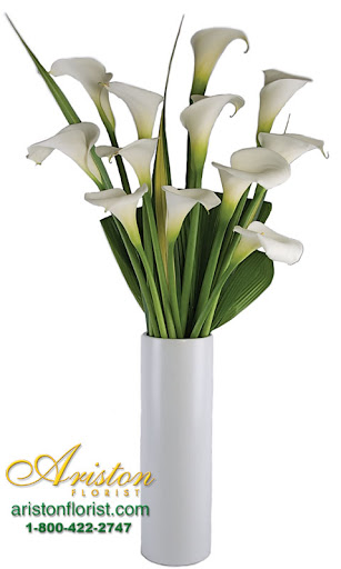 Ariston Floral Boutique Gallery - United States