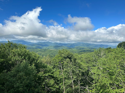 Carolina Cabin Rentals - Thumbnail