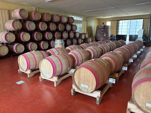 Cantine Risveglio - Visual