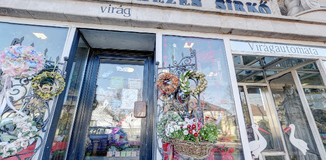 Varázskő Kft Zsuzsi Virágbolt - Virágárus