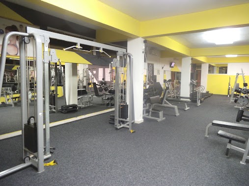 Terzo Gym & Fitness centar, Author: Mihajlo Zdravkov