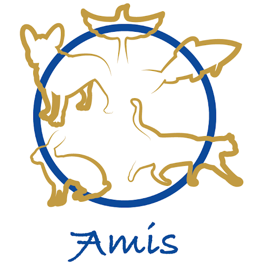 7Amis - Visual