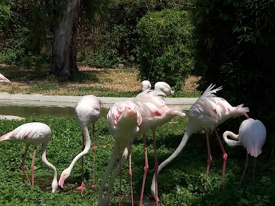 Naples Zoo