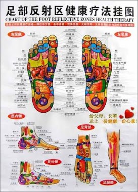 Nobi-Nobi Family Reflexology, Author: Griya Totok