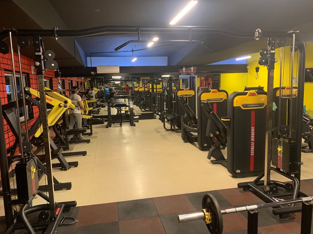 King Fitness Gym
