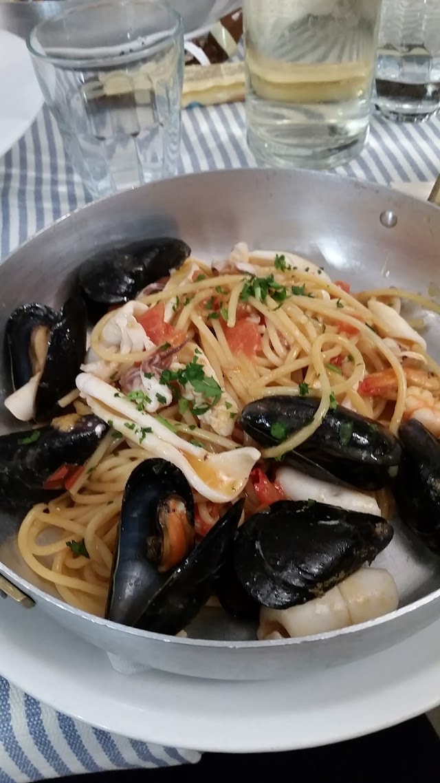 Sgabeus By Giannaccio