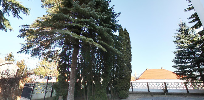 Farský kostol povýšenia Svätého kríža - Košice