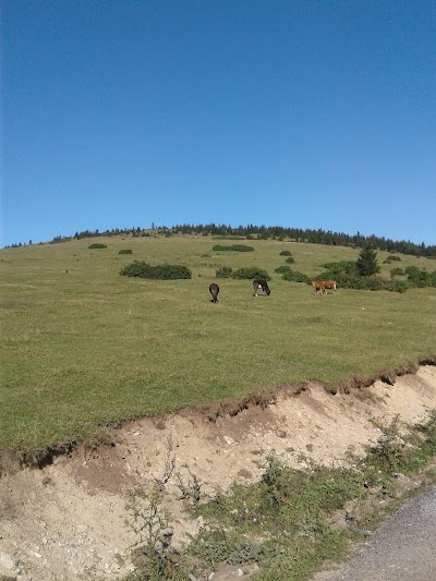 Kayabaşı Highland City