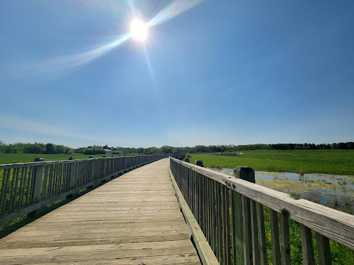 Pine Dunes Forest Preserve - Thumbnail
