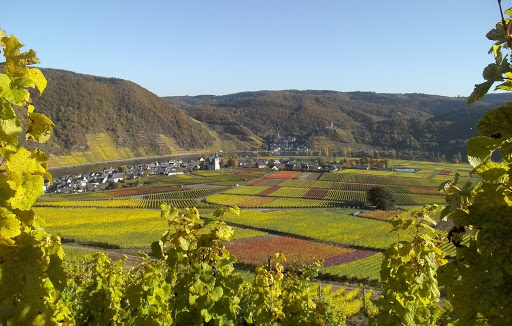 Gästehaus Weingut Elfriede Fuhrmann - Thumbnail