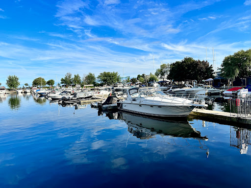 The Dogfish Pub & Eatery - Thumbnail