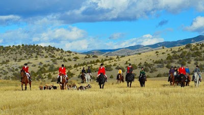 Big Sky Hounds