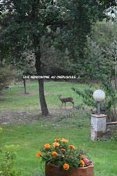 Photo n°21 de La bastide de rome à Saverdun (Chambre d'hôtes)