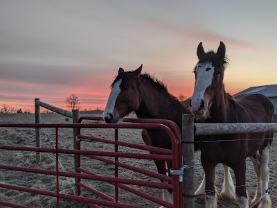 Spring Ridge Farms