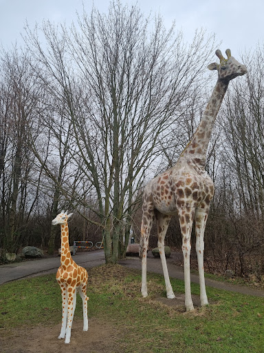 Afrikaparken