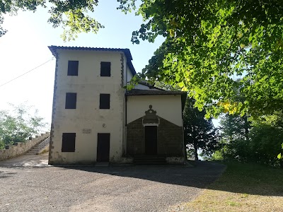 Paradisino