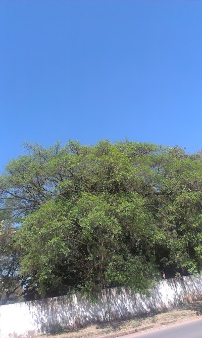 Photos of Golf Club de Lubumbashi