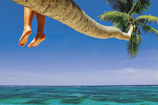 Direct Traveller - Thumbnail