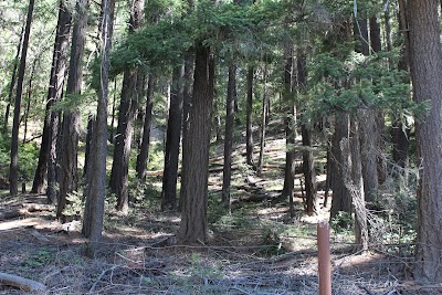 Steamboat Cemetery