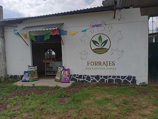 Forrajes San Bartolo Pareo