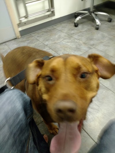 Photos of Pleasant Valley Animal Hospital