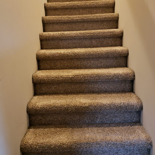 Go Green Carpet Cleaners - Thumbnail