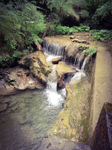 Percorso Natura Premilcuore - Thumbnail