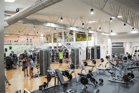 Gimnasio AltaFit Albacete, Author: Gimnasio AltaFit Albacete