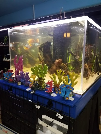 Blue Fish Aquarium