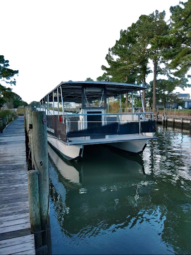 Back Bay Tours - Visual
