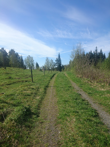 Mullsjö Idrottsförening - Thumbnail
