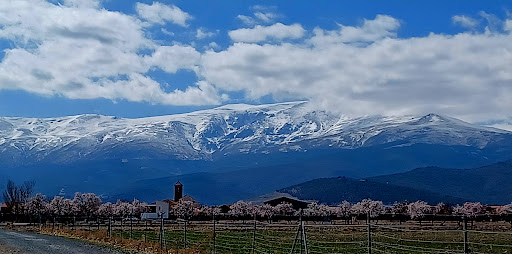 Albuñan - Visual
