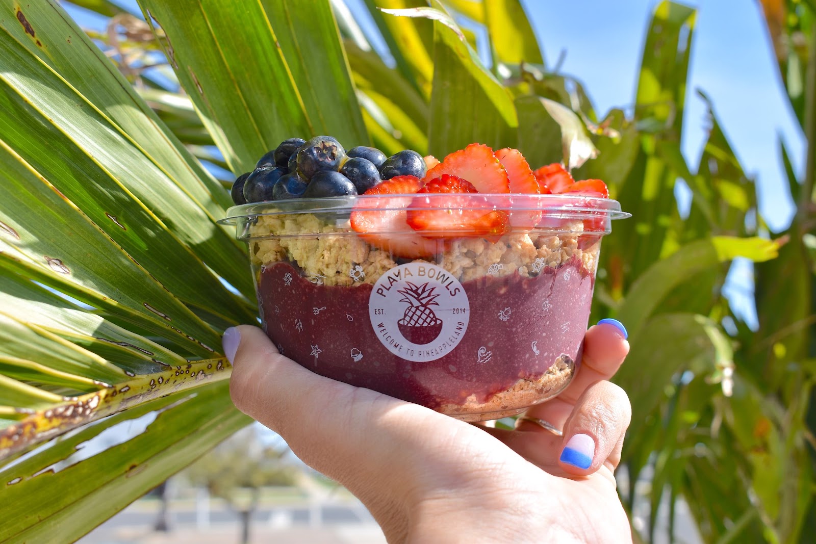 Playa Bowls — photo 4