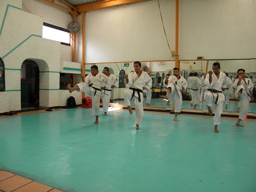 Asociación Promotora de Budo, A.C. - Thumbnail