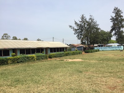 Photos of Living Streams School