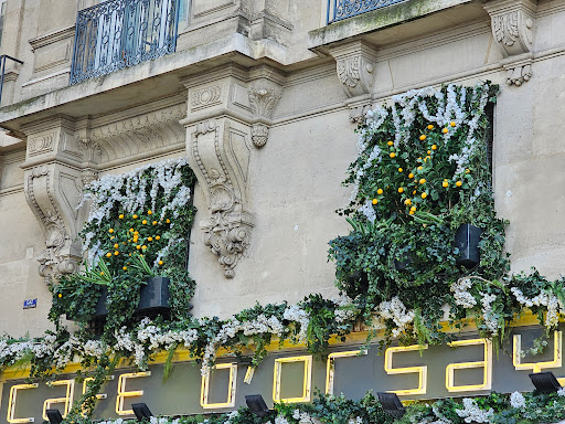 Café d’Orsay - Thumbnail