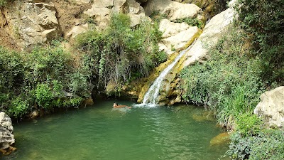 Photos of Tikjda National Park