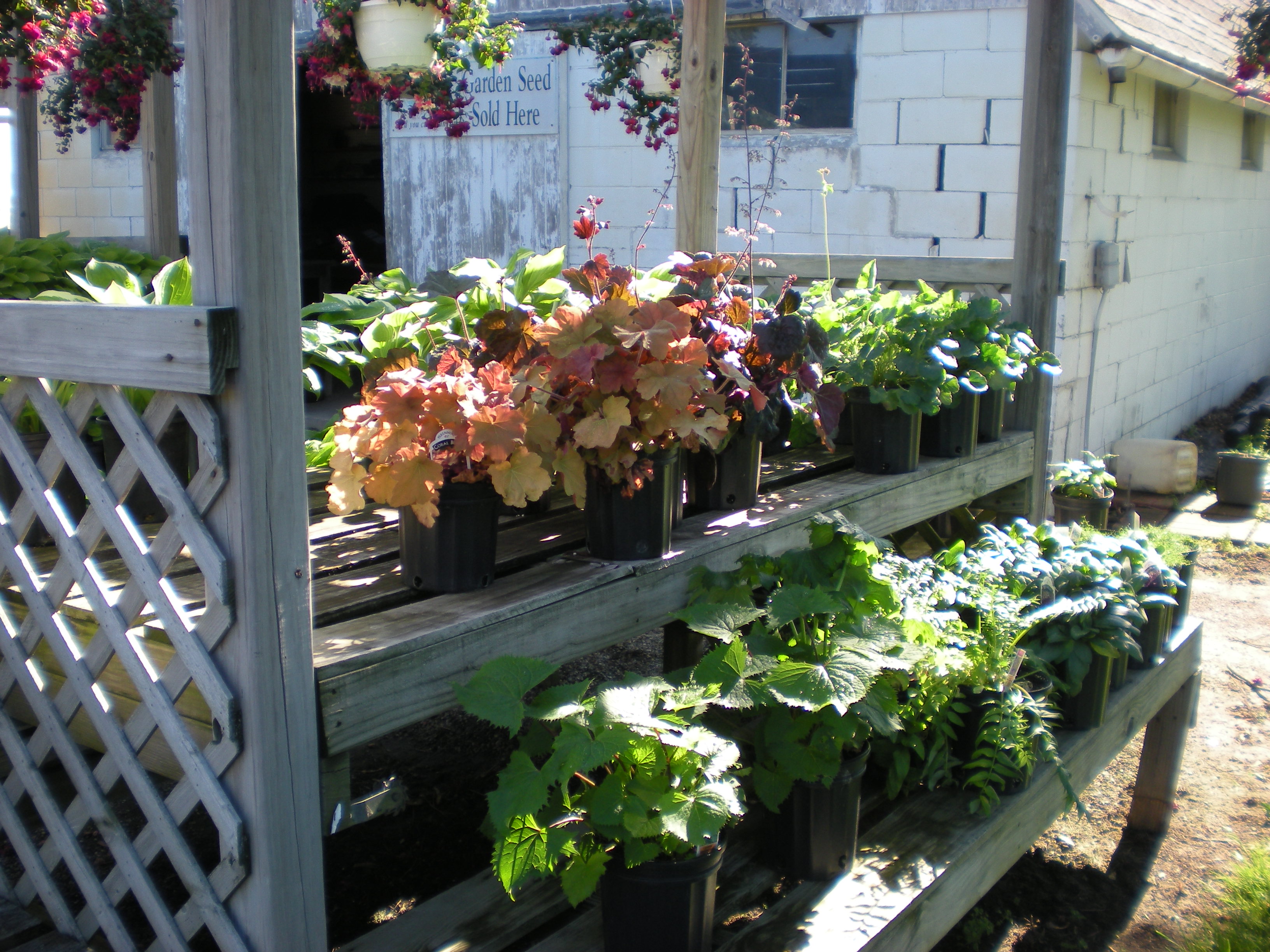 Turpin's Nursery