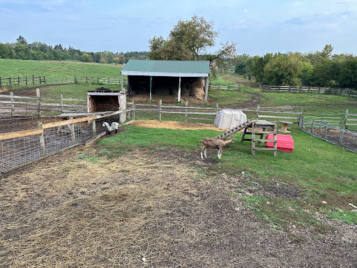 Dan Patch Stables - Visual