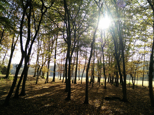 Area Naturalistica Pianezze, Vialfrè - Thumbnail
