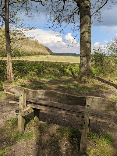 Archers Wood Nature Reserve - Thumbnail