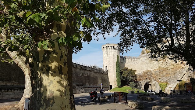 Avignon