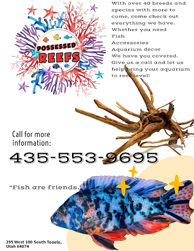Possessed reefs and aquatics